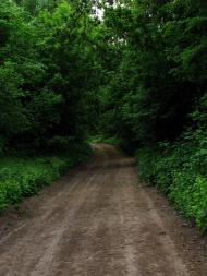 Воскодави з panoramio.com