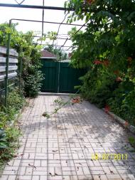 Виноградне з panoramio.com