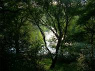 Рудня-Городище з panoramio.com