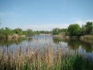 Кадомка з panoramio.com