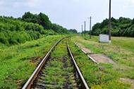Хоменкове Перше з panoramio.com