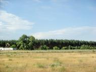 Тавільжанка з panoramio.com