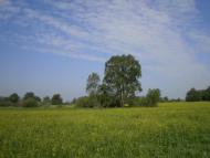 Лихачів з panoramio.com