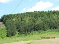 Нараїв з panoramio.com