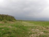 Оржиця з panoramio.com