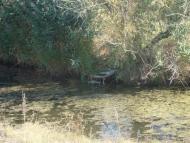 Ларжанка - Останні фото