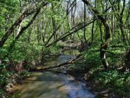 Русько-Орлівка з panoramio.com - Русско-Орловка