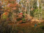 Яворівка з panoramio.com