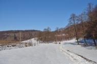 Любешка з panoramio.com