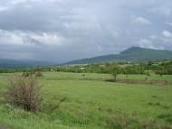 Тур'я Пасіка з panoramio.com