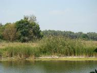 Денежникове з panoramio.com