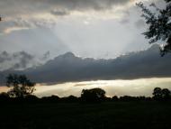 Лихачів з panoramio.com