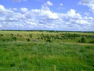 Андріївка з panoramio.com