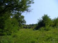 Ольгопіль з panoramio.com