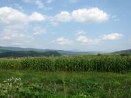 Раково з panoramio.com