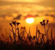 Клевань з panoramio.com