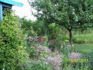 Виноградне з panoramio.com