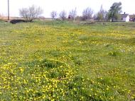 Приовражное - Последние фото