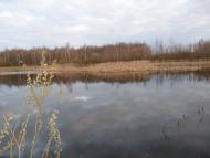 Абрамок - Последние фото