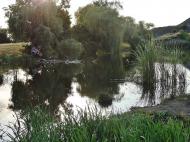 Шахтне з panoramio.com