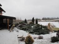 Кочубеївка з panoramio.com