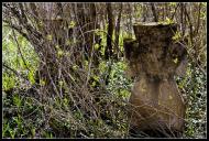 Заріцьк з panoramio.com