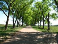 Булахів з panoramio.com