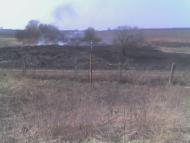 Велика Омеляна з panoramio.com