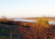 Шостакове - Останні фото