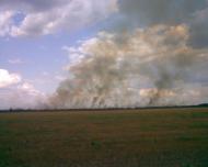 Грушівка з panoramio.com