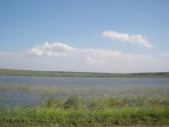 Афанасіївка з panoramio.com