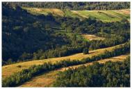 Буківцьово з panoramio.com