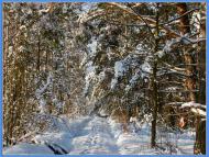 Хмелівка з panoramio.com