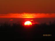 Вірівка з panoramio.com