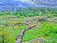 Олександро-Степанівка з panoramio.com