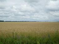 Залужжя з panoramio.com