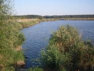Златоустівка з panoramio.com