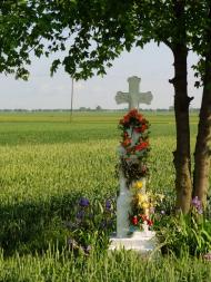 Стаївка з panoramio.com