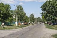 Борщівка з panoramio.com