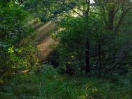 Завій з panoramio.com