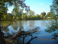 Цапівка з panoramio.com