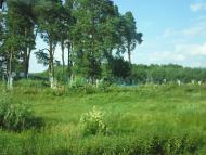 Великий Мидськ з panoramio.com