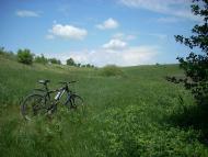 Лози з panoramio.com