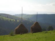 Рижа з panoramio.com