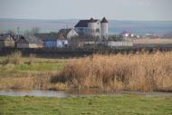 Ширяєве з panoramio.com