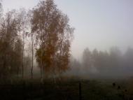 Радинка з panoramio.com