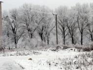 Зоря з panoramio.com