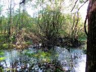 Ромейки з panoramio.com