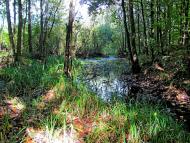 Ромейки з panoramio.com