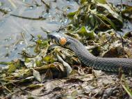 Розльоти з panoramio.com